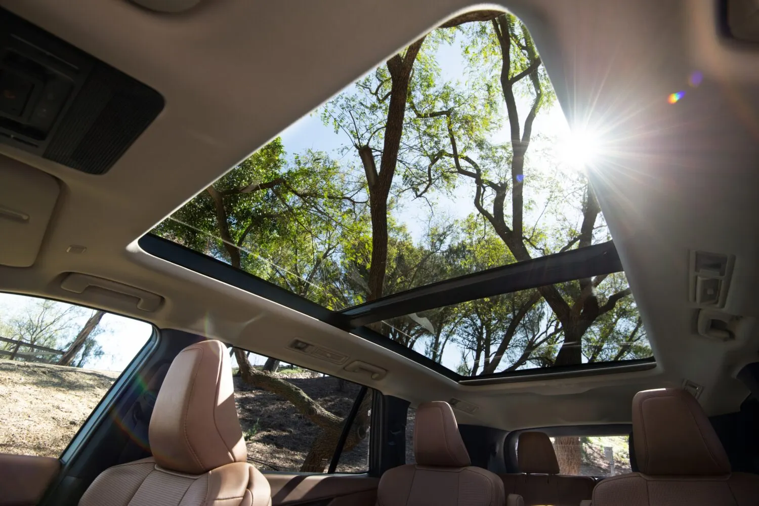 Le grand toit en verre de la Lexus TZ vu du côté conducteur, regardant vers le haut.
